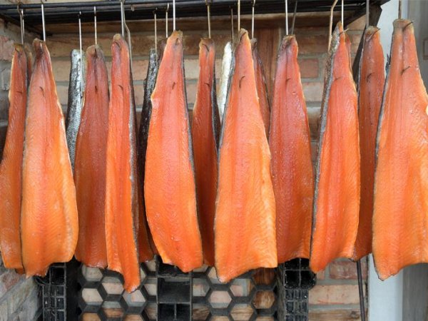 Fumage et affinage de saumon
